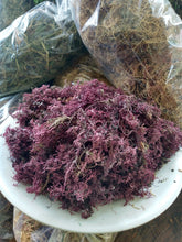 Load image into Gallery viewer, Wildcrafted Jamaican Purple Sea Moss
